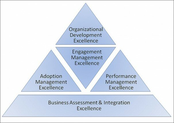 Adoption & Engagement Management as Key Excellence Factors for the E20 Project